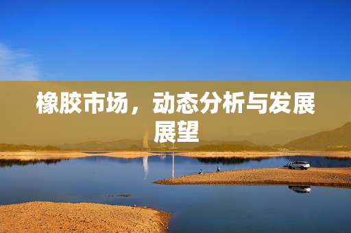 橡胶市场，动态分析与发展展望
