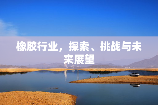 橡胶行业，探索、挑战与未来展望