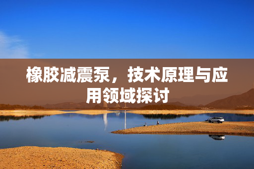橡胶减震泵，技术原理与应用领域探讨