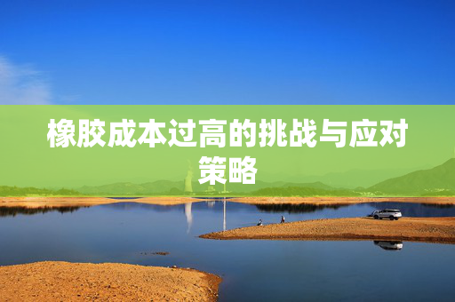 橡胶成本过高的挑战与应对策略