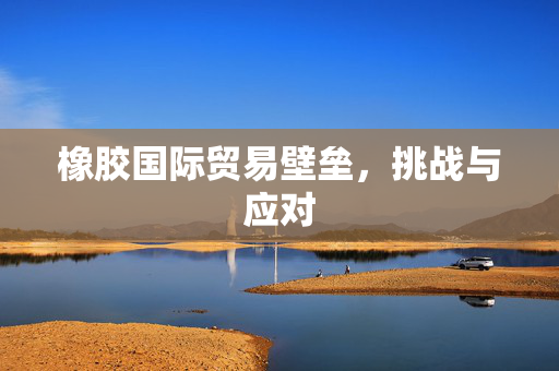 橡胶国际贸易壁垒，挑战与应对