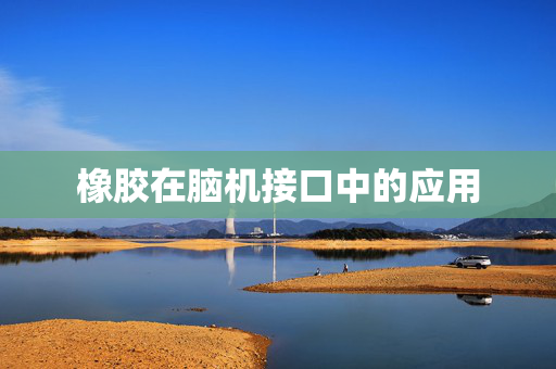 橡胶在脑机接口中的应用