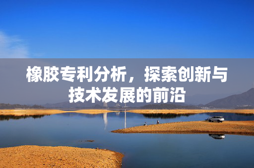 橡胶专利分析，探索创新与技术发展的前沿