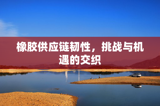 橡胶供应链韧性，挑战与机遇的交织