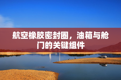 航空橡胶密封圈，油箱与舱门的关键组件