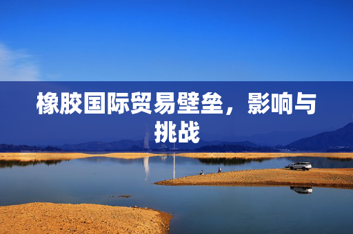 橡胶国际贸易壁垒，影响与挑战