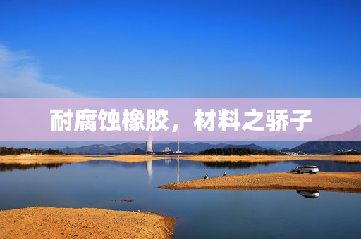 耐腐蚀橡胶，材料之骄子