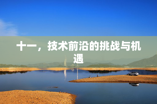 十一，技术前沿的挑战与机遇
