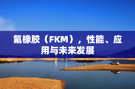 氟橡胶（FKM），性能、应用与未来发展