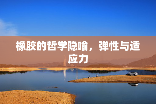 橡胶的哲学隐喻，弹性与适应力