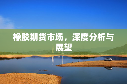 橡胶期货市场，深度分析与展望