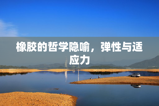 橡胶的哲学隐喻，弹性与适应力