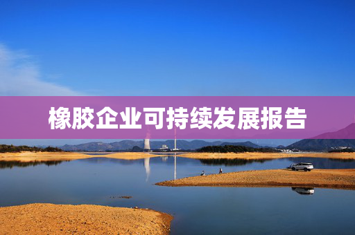 橡胶企业可持续发展报告