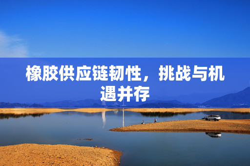 橡胶供应链韧性，挑战与机遇并存