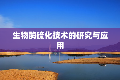 生物酶硫化技术的研究与应用