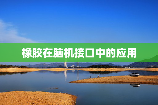 橡胶在脑机接口中的应用
