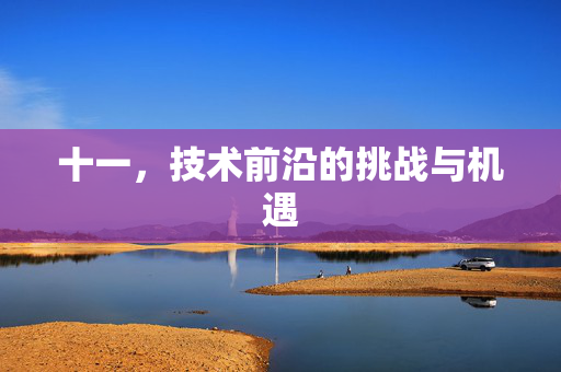 十一，技术前沿的挑战与机遇