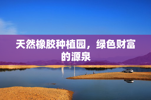 天然橡胶种植园，绿色财富的源泉