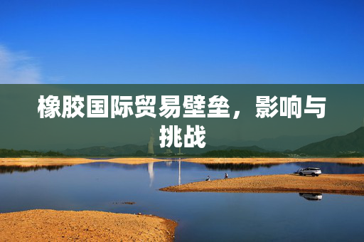 橡胶国际贸易壁垒，影响与挑战