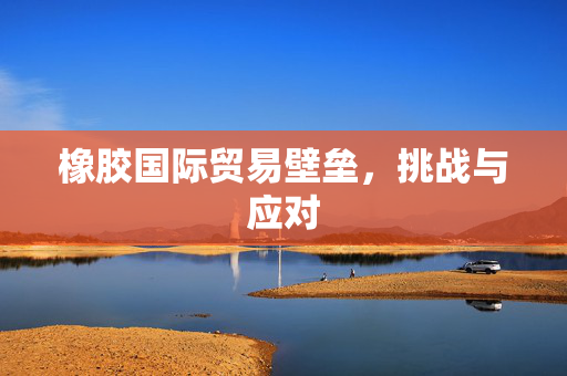 橡胶国际贸易壁垒，挑战与应对