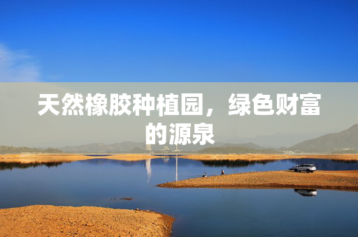 天然橡胶种植园，绿色财富的源泉