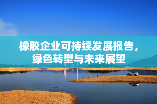 橡胶企业可持续发展报告，绿色转型与未来展望