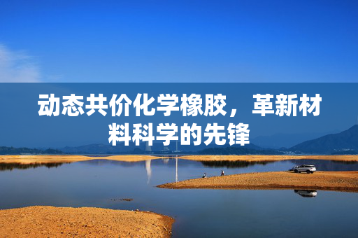 动态共价化学橡胶，革新材料科学的先锋
