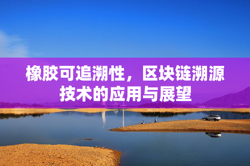 橡胶可追溯性，区块链溯源技术的应用与展望
