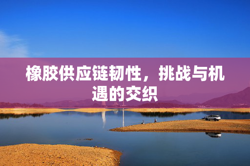 橡胶供应链韧性，挑战与机遇的交织