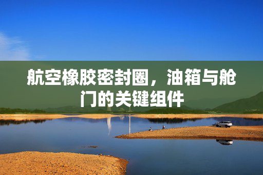 航空橡胶密封圈，油箱与舱门的关键组件