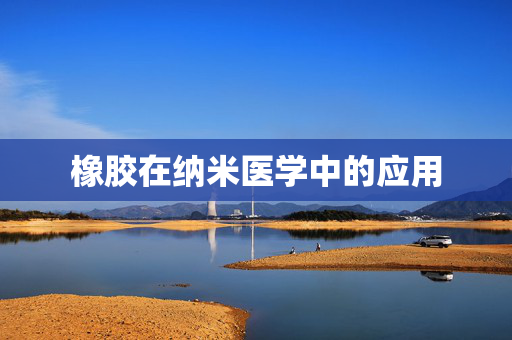 橡胶在纳米医学中的应用