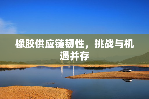 橡胶供应链韧性，挑战与机遇并存