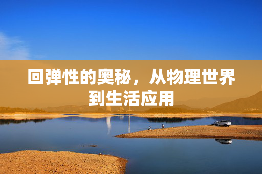 回弹性的奥秘，从物理世界到生活应用