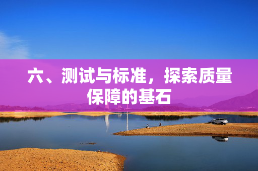 六、测试与标准，探索质量保障的基石