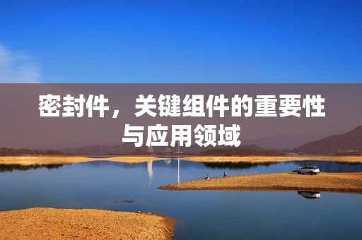 密封件，关键组件的重要性与应用领域