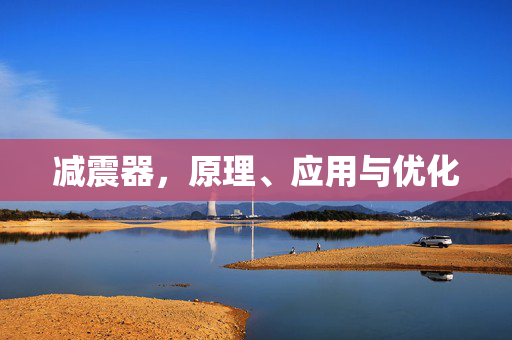 减震器，原理、应用与优化
