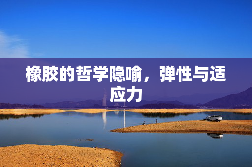 橡胶的哲学隐喻，弹性与适应力
