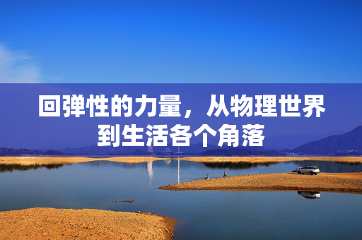 回弹性的力量，从物理世界到生活各个角落