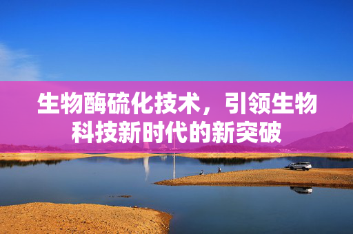 生物酶硫化技术，引领生物科技新时代的新突破