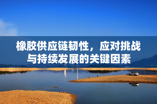 橡胶供应链韧性，应对挑战与持续发展的关键因素