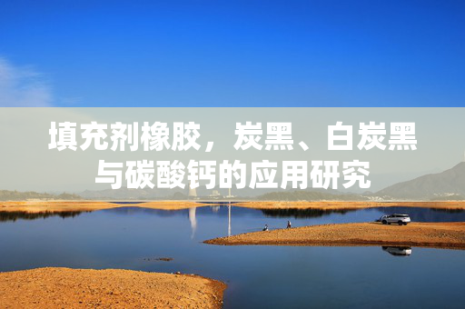 填充剂橡胶，炭黑、白炭黑与碳酸钙的应用研究