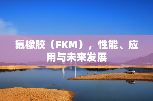 氟橡胶（FKM），性能、应用与未来发展
