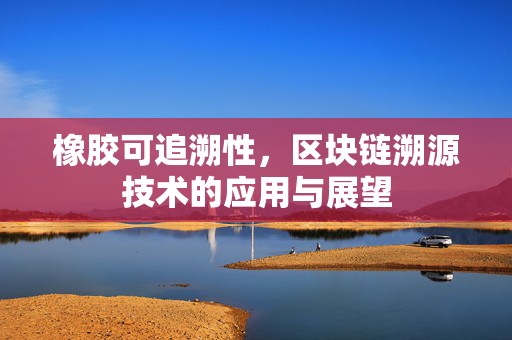橡胶可追溯性，区块链溯源技术的应用与展望