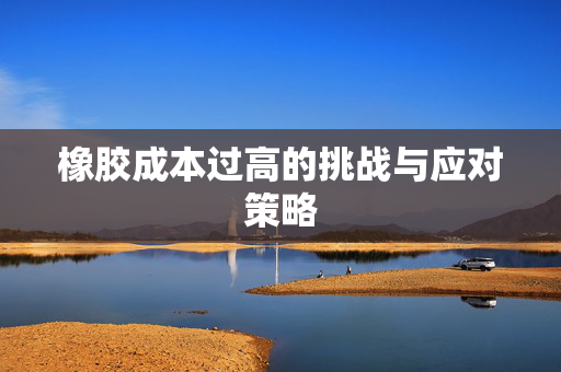 橡胶成本过高的挑战与应对策略