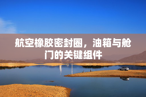 航空橡胶密封圈，油箱与舱门的关键组件