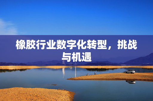 橡胶行业数字化转型，挑战与机遇