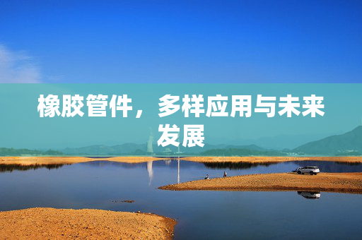橡胶管件，多样应用与未来发展