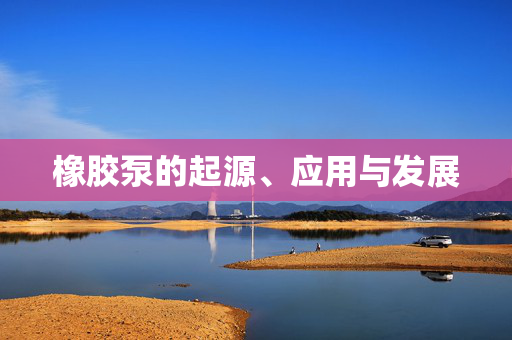 橡胶泵的起源、应用与发展