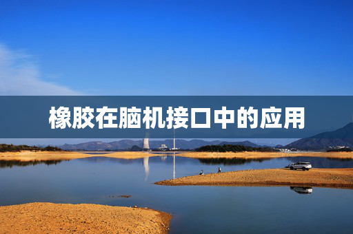 橡胶在脑机接口中的应用
