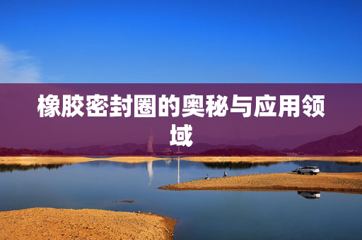 橡胶密封圈的奥秘与应用领域